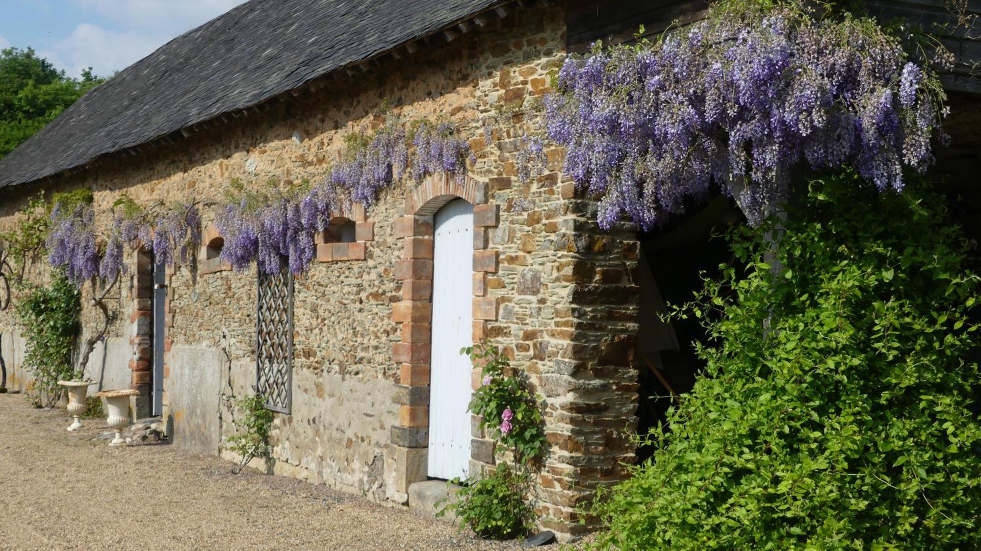 Bed and Breakfast La Petite Lande Menil Экстерьер фото